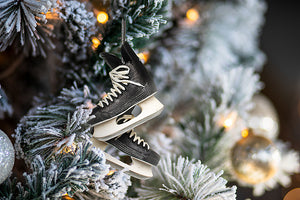 
                  
                    Hockey Skates Ornament
                  
                